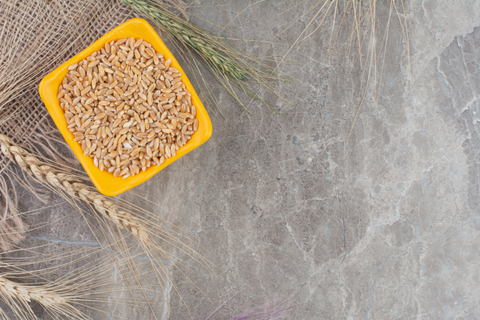 Barley background