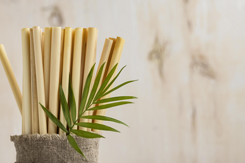Sugarcane background
